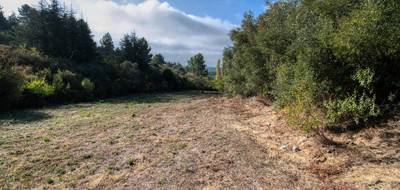 Terrain à Caunes-Minervois en Aude (11) de 1600 m² à vendre au prix de 82000€ - 3