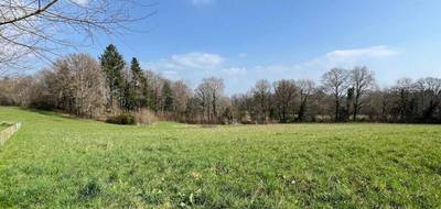Terrain à Royères en Haute-Vienne (87) de 1535 m² à vendre au prix de 39000€ - 4