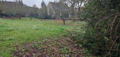 Terrain à Chaumes-en-Brie en Seine-et-Marne (77) de 925 m² à vendre au prix de 150000€ - 2