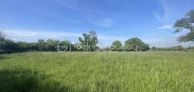 Terrain à Châtillon-sur-Broué en Marne (51) de 820 m² à vendre au prix de 25000€ - 3
