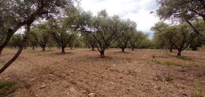 Terrain à Pézenas en Hérault (34) de 7000 m² à vendre au prix de 29000€ - 2