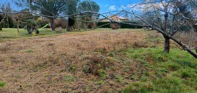 Terrain à Saint-Gauzens en Tarn (81) de 523 m² à vendre au prix de 52000€ - 3