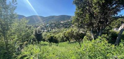 Terrain à La Croix-Valmer en Var (83) de 1198 m² à vendre au prix de 839000€ - 3