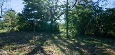 Terrain à Réans en Gers (32) de 10000 m² à vendre au prix de 94000€ - 4