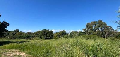 Terrain à Aléria en Haute-Corse (2B) de 1490 m² à vendre au prix de 165000€ - 4