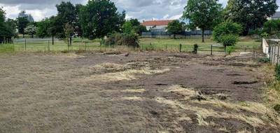 Terrain à Mauges-sur-Loire en Maine-et-Loire (49) de 559 m² à vendre au prix de 40000€ - 2
