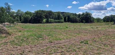 Terrain à Cazouls-lès-Béziers en Hérault (34) de 1000 m² à vendre au prix de 262000€ - 2