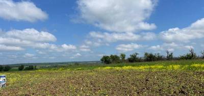 Terrain à Haraucourt en Meurthe-et-Moselle (54) de 716 m² à vendre au prix de 78000€ - 3