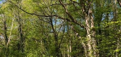 Terrain à Guignes en Seine-et-Marne (77) de 8597 m² à vendre au prix de 44000€ - 2