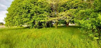 Terrain à Royan en Charente-Maritime (17) de 502 m² à vendre au prix de 139000€ - 2