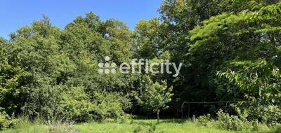 Terrain à Saujon en Charente-Maritime (17) de 6082 m² à vendre au prix de 167000€ - 3