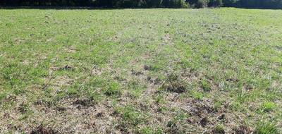 Terrain à Nantillé en Charente-Maritime (17) de 643 m² à vendre au prix de 18000€ - 3