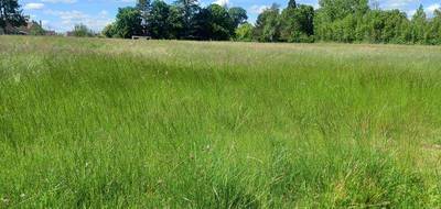 Terrain à Sancoins en Cher (18) de 11275 m² à vendre au prix de 56000€ - 3