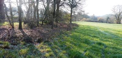 Terrain à Guern en Morbihan (56) de 3044 m² à vendre au prix de 31980€ - 4