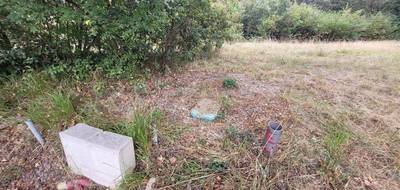 Terrain à Brive-la-Gaillarde en Corrèze (19) de 1980 m² à vendre au prix de 47590€ - 3