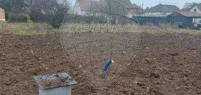 Terrain à Issenheim en Haut-Rhin (68) de 1029 m² à vendre au prix de 242000€ - 1