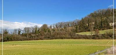 Terrain à Auterive en Gers (32) de 10705 m² à vendre au prix de 75000€ - 2
