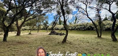 Terrain à Castries en Hérault (34) de 1429 m² à vendre au prix de 450000€ - 1