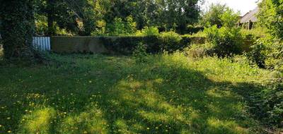 Terrain à Villeneuve-en-Perseigne en Sarthe (72) de 1000 m² à vendre au prix de 29000€ - 2