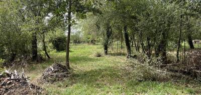 Terrain à Mondavezan en Haute-Garonne (31) de 3760 m² à vendre au prix de 127200€ - 3