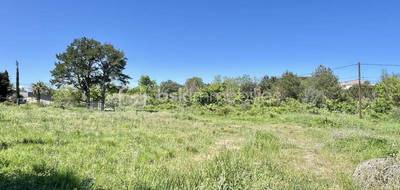 Terrain à Perpignan en Pyrénées-Orientales (66) de 2762 m² à vendre au prix de 405000€ - 2