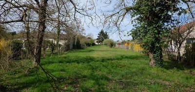 Terrain à Faverolles-sur-Cher en Loir-et-Cher (41) de 1766 m² à vendre au prix de 30500€ - 3