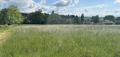 Terrain à Quenne en Yonne (89) de 3383 m² à vendre au prix de 43000€ - 1