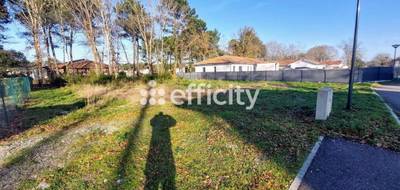 Terrain à Magescq en Landes (40) de 603 m² à vendre au prix de 140000€ - 3
