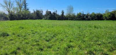 Terrain à Castelnau Montratier-Sainte Alauzie en Lot (46) de 1000 m² à vendre au prix de 25500€ - 2