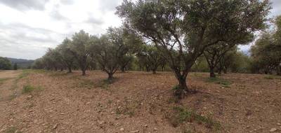 Terrain à Pézenas en Hérault (34) de 7000 m² à vendre au prix de 29000€ - 3