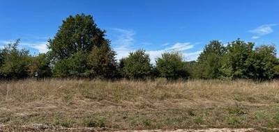 Terrain à Coudures en Landes (40) de 2300 m² à vendre au prix de 28000€ - 2