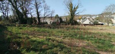Terrain à Baden en Morbihan (56) de 348 m² à vendre au prix de 275000€ - 3