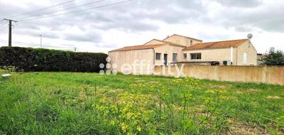 Terrain à Saint-Pierre-d'Oléron en Charente-Maritime (17) de 400 m² à vendre au prix de 159000€ - 3