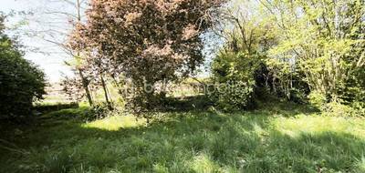 Terrain à Attainville en Val-d'Oise (95) de 639 m² à vendre au prix de 239000€ - 4
