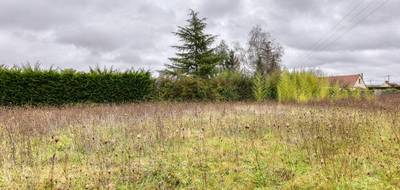 Terrain à Cheverny en Loir-et-Cher (41) de 1580 m² à vendre au prix de 70000€ - 2