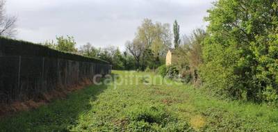 Terrain à Salles-sur-Garonne en Haute-Garonne (31) de 921 m² à vendre au prix de 87975€ - 4