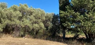 Terrain à La Ciotat en Bouches-du-Rhône (13) de 385 m² à vendre au prix de 385000€ - 1