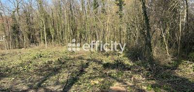 Terrain à Vernou-la-Celle-sur-Seine en Seine-et-Marne (77) de 4917 m² à vendre au prix de 99000€ - 2