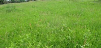 Terrain à Proissans en Dordogne (24) de 1100 m² à vendre au prix de 39000€ - 1