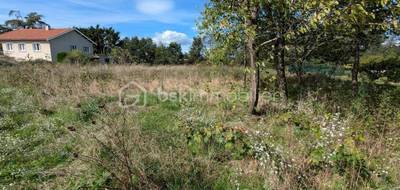 Terrain à Feurs en Loire (42) de 1324 m² à vendre au prix de 99000€ - 2