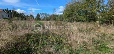 Terrain à Feurs en Loire (42) de 1324 m² à vendre au prix de 99000€ - 3