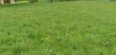 Terrain à Roilly en Côte-d'Or (21) de 2000 m² à vendre au prix de 25000€ - 3