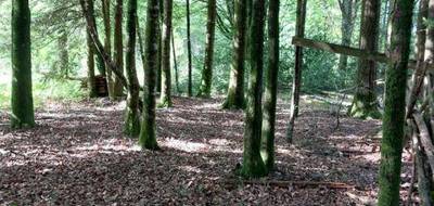 Terrain à Marcillac-la-Croisille en Corrèze (19) de 2229 m² à vendre au prix de 25500€ - 4
