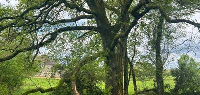 Terrain à Thiviers en Dordogne (24) de 9918 m² à vendre au prix de 39000€ - 2