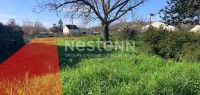 Terrain à Blois en Loir-et-Cher (41) de 974 m² à vendre au prix de 98000€ - 3