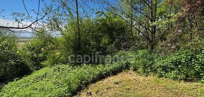 Terrain à Nogaro en Gers (32) de 3299 m² à vendre au prix de 30000€ - 2
