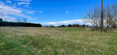 Terrain à La Salvetat-Belmontet en Tarn-et-Garonne (82) de 36155 m² à vendre au prix de 130000€ - 4