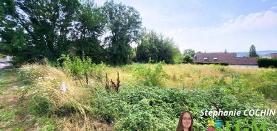 Terrain à Villiers-sur-Loir en Loir-et-Cher (41) de 1077 m² à vendre au prix de 70000€ - 3