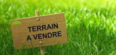 Terrain à Saint-Dolay en Morbihan (56) de 464 m² à vendre au prix de 66000€ - 1