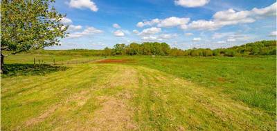 Terrain à Le Controis-en-Sologne en Loir-et-Cher (41) de 1558 m² à vendre au prix de 33990€ - 1